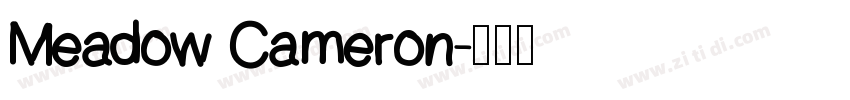 Meadow Cameron字体转换